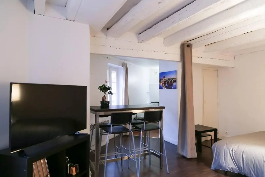 Appartement Hypercentre Capitole Toulouse Apartment