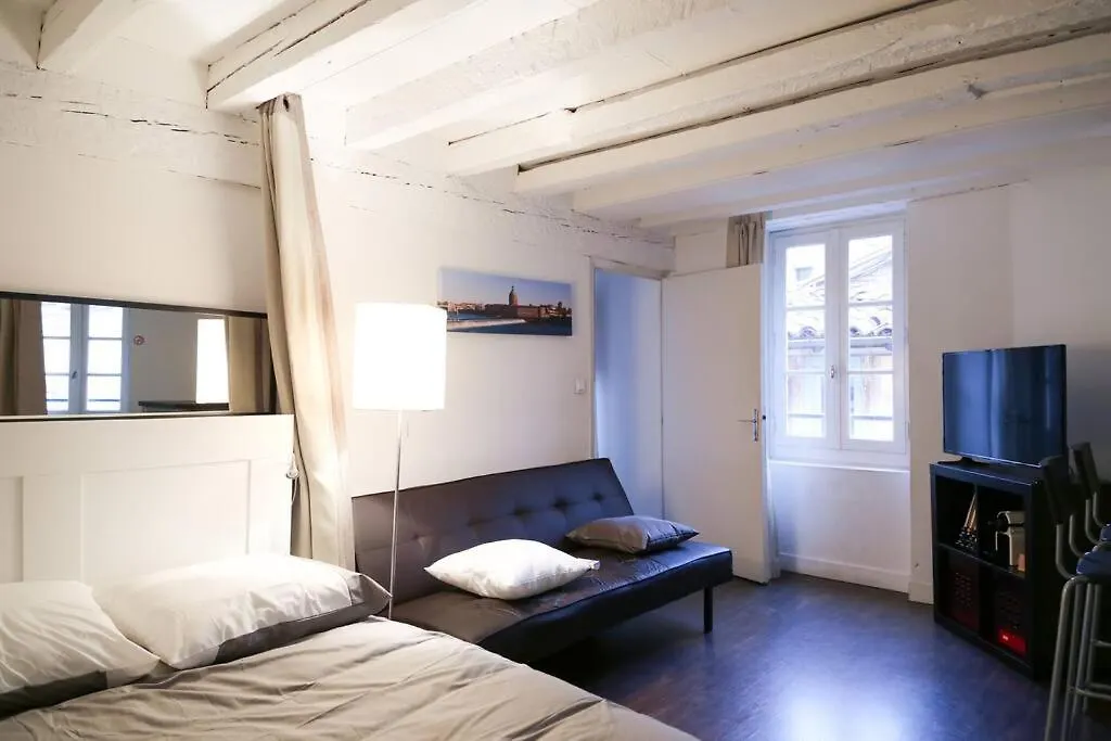 Appartement Hypercentre Capitole Toulouse France