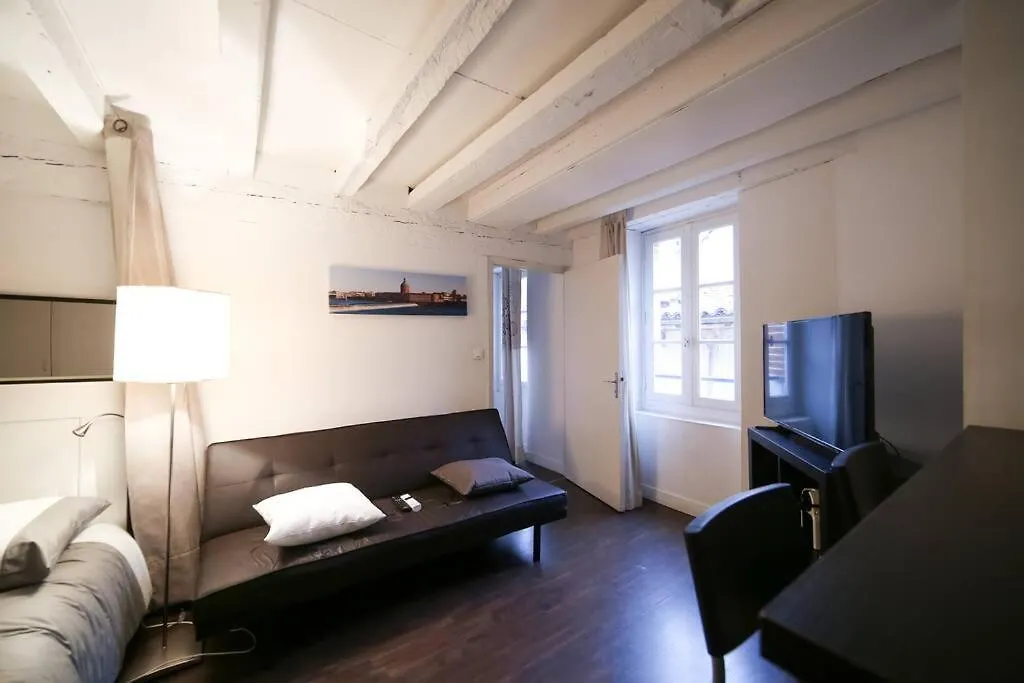 Appartement Hypercentre Capitole Toulouse
