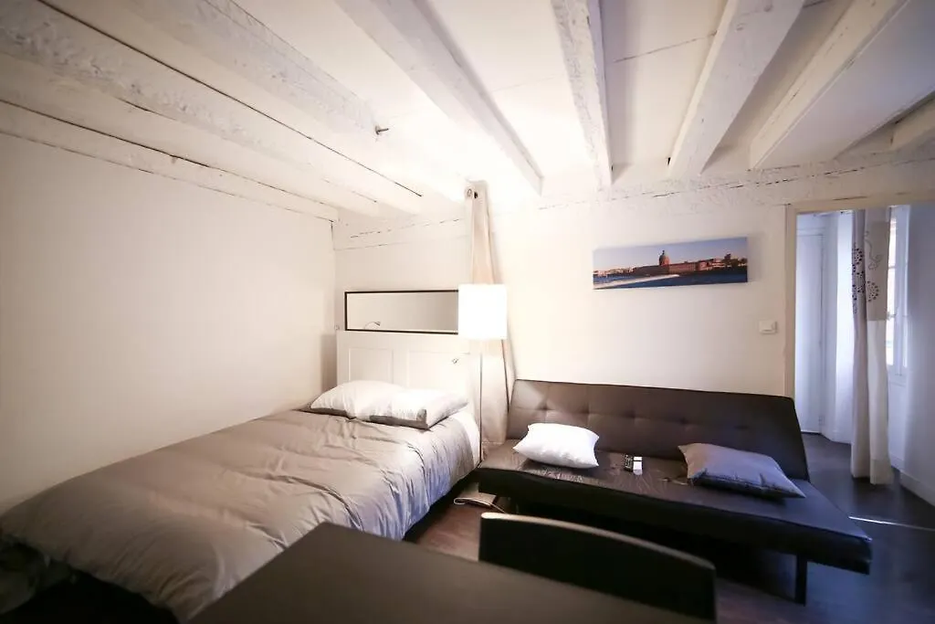 Appartement Hypercentre Capitole Toulouse 0*,